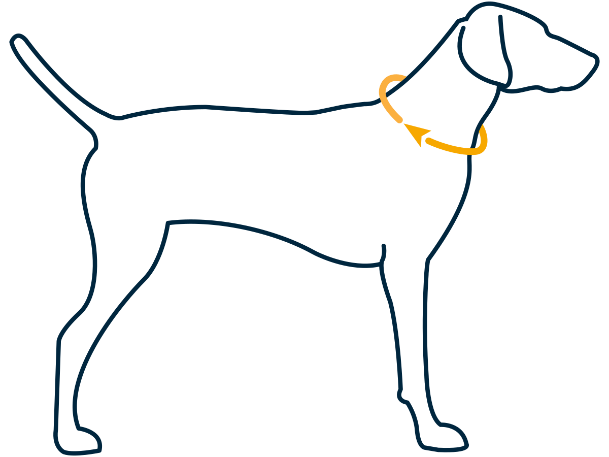 ezgif.com webp to jpg - Ruffwear Front Range Dog Harness Red